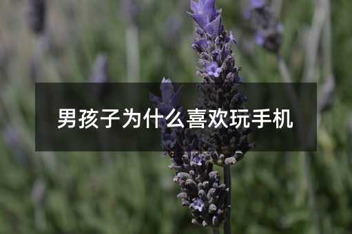 男孩子為什么喜歡玩手機