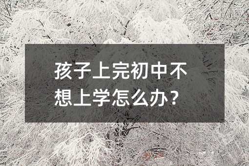 孩子上完初中不想上學怎么辦?
