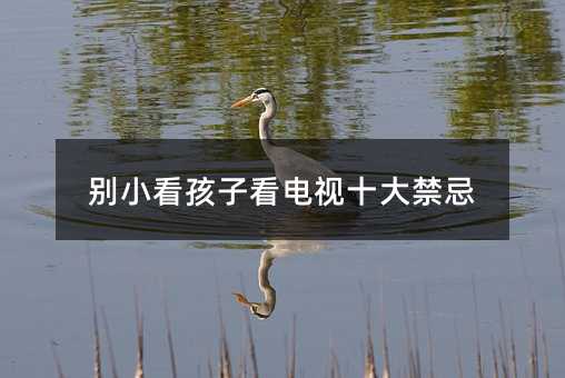 別小看孩子看電視十大禁忌