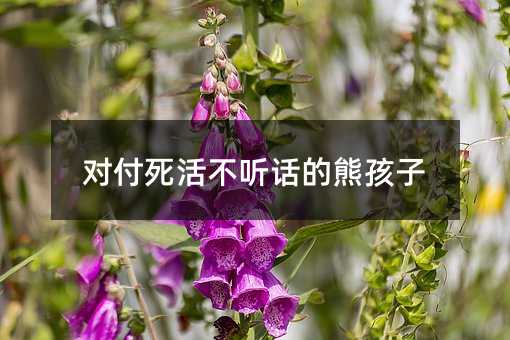 ������� Ԓ���ܺ���