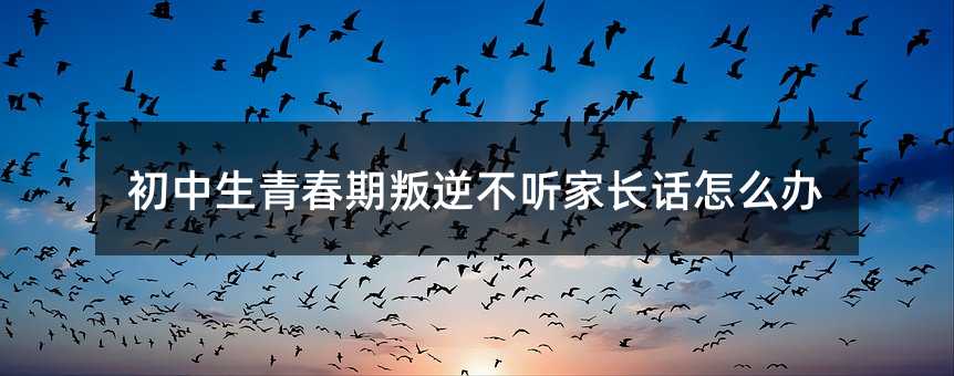 初中生青春期叛逆不聽家長話怎么辦