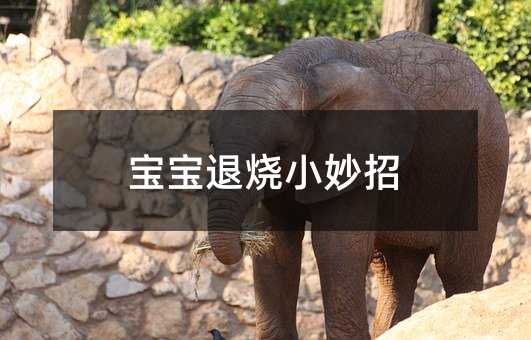 寶寶退燒小妙招