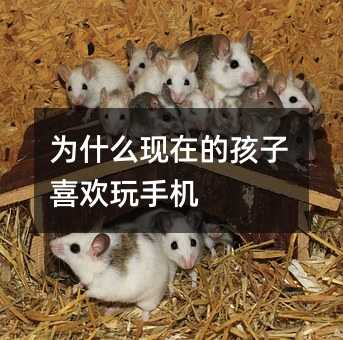 為什么現(xiàn)在的孩子喜歡玩手機