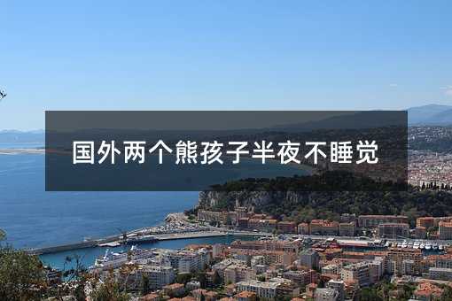 國外兩個熊孩子半夜不睡覺