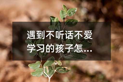 遇到不聽話不愛學習的孩子怎么辦