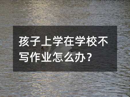 孩子上學在學校不寫作業怎么辦?