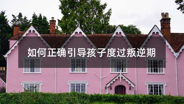 如何正確引導(dǎo)孩子度過(guò)叛逆期