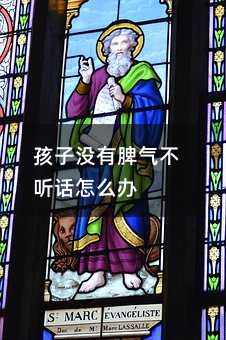 孩子沒有脾氣不聽話怎么辦