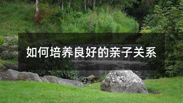 如何培養(yǎng)良好的親子關(guān)系