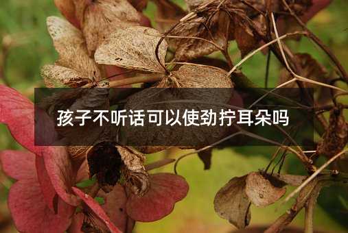 孩子不聽話可以使勁擰耳朵嗎