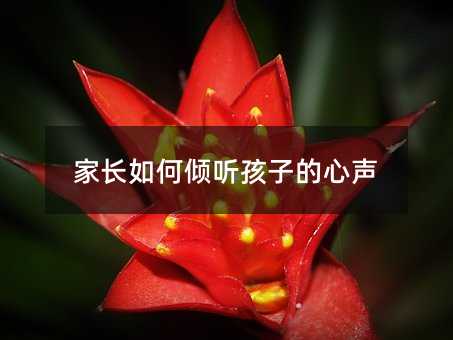 家長如何傾聽孩子的心聲