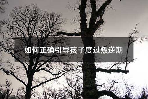 如何正確引導孩子度過叛逆期
