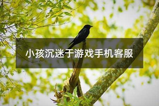 小孩沉迷于游戲手機客服