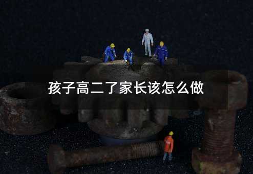 孩子高二了家長該怎么做
