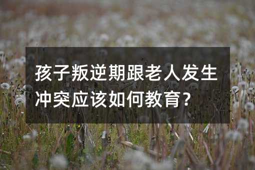 孩子叛逆期跟老人發生沖突應該如何教育?