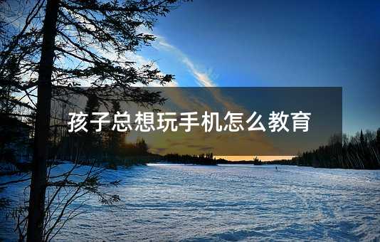 孩子總想玩手機怎么教育