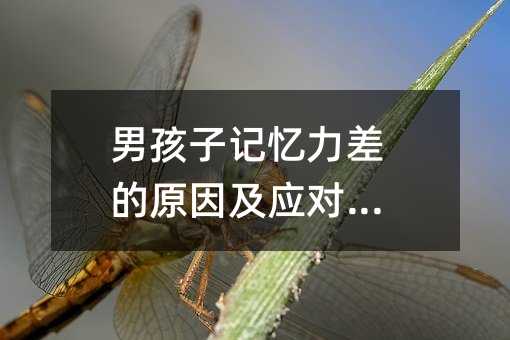 男孩子記憶力差的原因及應對方法