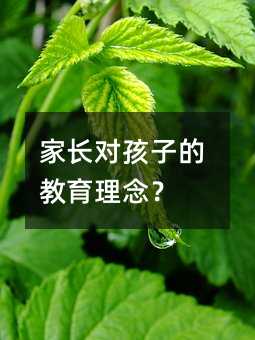 ���L�����ӵĽ������