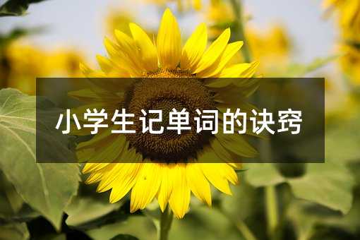 小學(xué)生記單詞的訣竅
