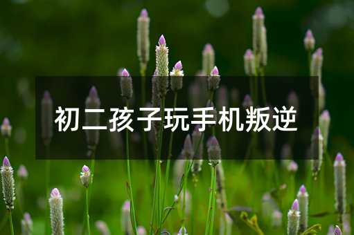 初二孩子玩手機叛逆