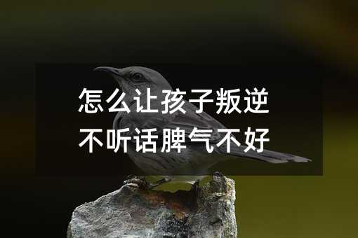 怎么讓孩子叛逆不聽話脾氣不好