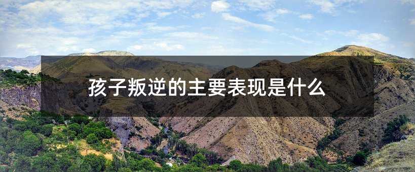 �����������Ҫ���F��ʲô