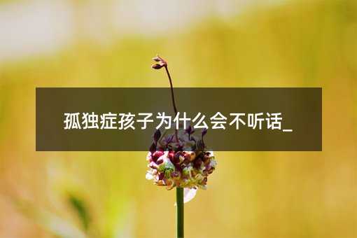 孤獨癥孩子為什么會不聽話_