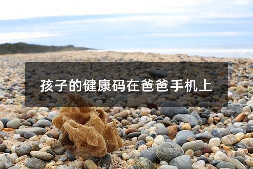 孩子的健康碼在爸爸手機上