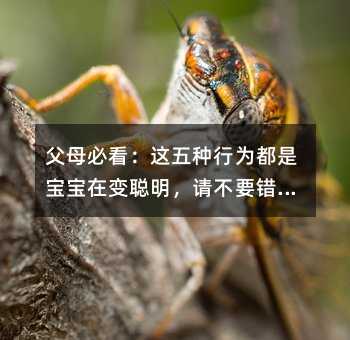 ĸؿ@NО鶼ǌ׃ՈҪe