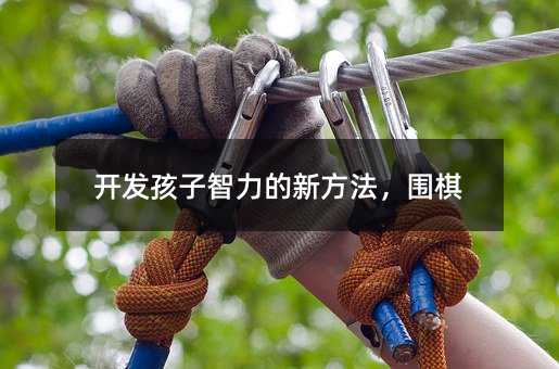 開發(fā)孩子智力的新方法,圍棋