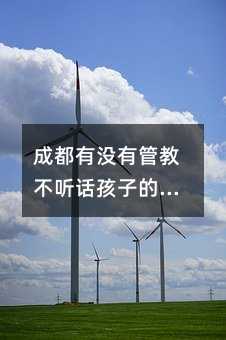 成都有沒有管教不聽話孩子的學校