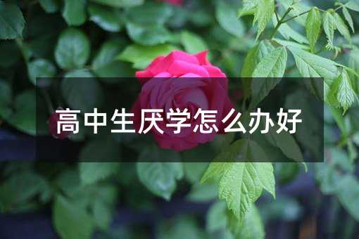 高中生厭學怎么辦好