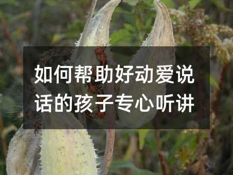 ��Ύ����ÄӐ��fԒ�ĺ��ӌ��� �v