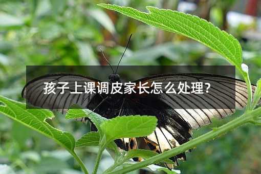 �������n�{(di��o)Ƥ���L��ô̎����