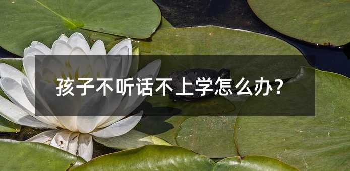 孩子不聽話不上學怎么辦?