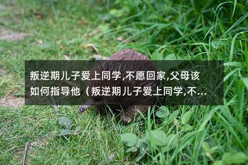 ڃӐͬW,Ըؼ,ĸԓָڃӐͬW,Ըؼ,ĸԓָ