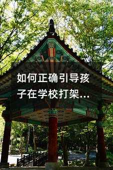如何正確引導(dǎo)孩子在學(xué)校打架的問題