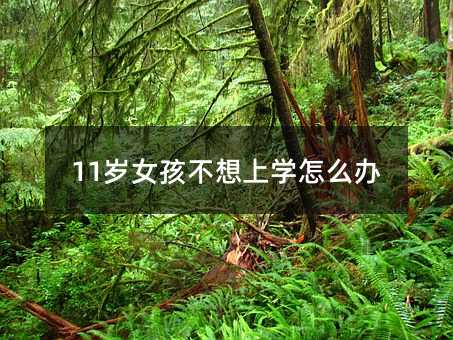 11�qŮ�������όW��ô�k