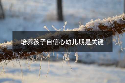 培養孩子自信心幼兒期是關鍵