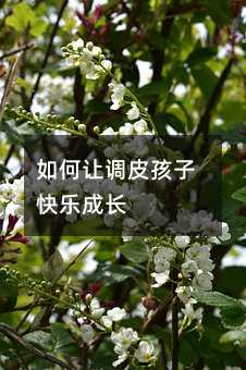 ���׌�{(di��o)Ƥ���ӿ옷���L