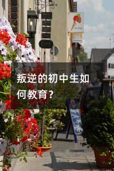 ����ĳ�������ν�����