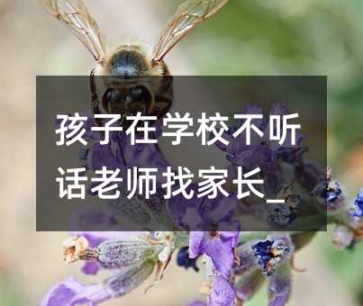 孩子在學校不聽話老師找家長_