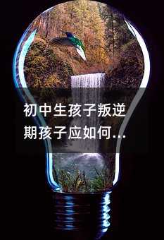 ���������������ں��ӑ���ν���