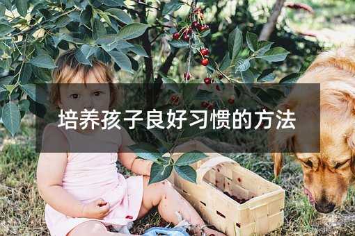 培養孩子良好習慣的方法