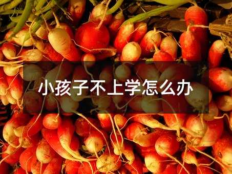 小孩子不上學怎么辦
