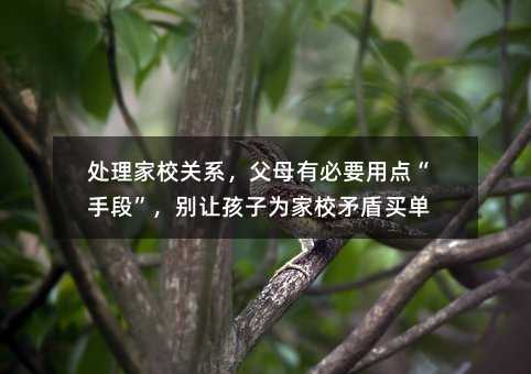 處理家校關系,父母有必要用點“手段”,別讓孩子為家校矛盾買單