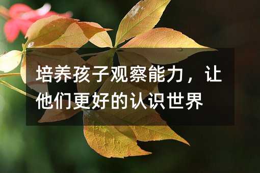 培養孩子觀察能力,讓他們更好的認識世界