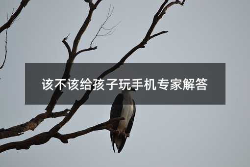 該不該給孩子玩手機專家解答