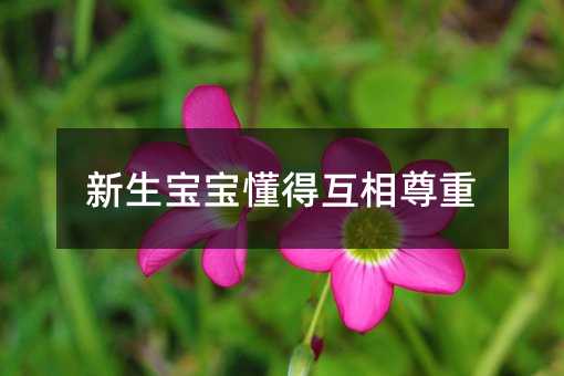 新生寶寶懂得互相尊重