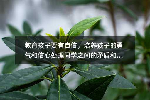 教育孩子要有自信,培養孩子的勇氣和信心處理同學之間的矛盾和沖突